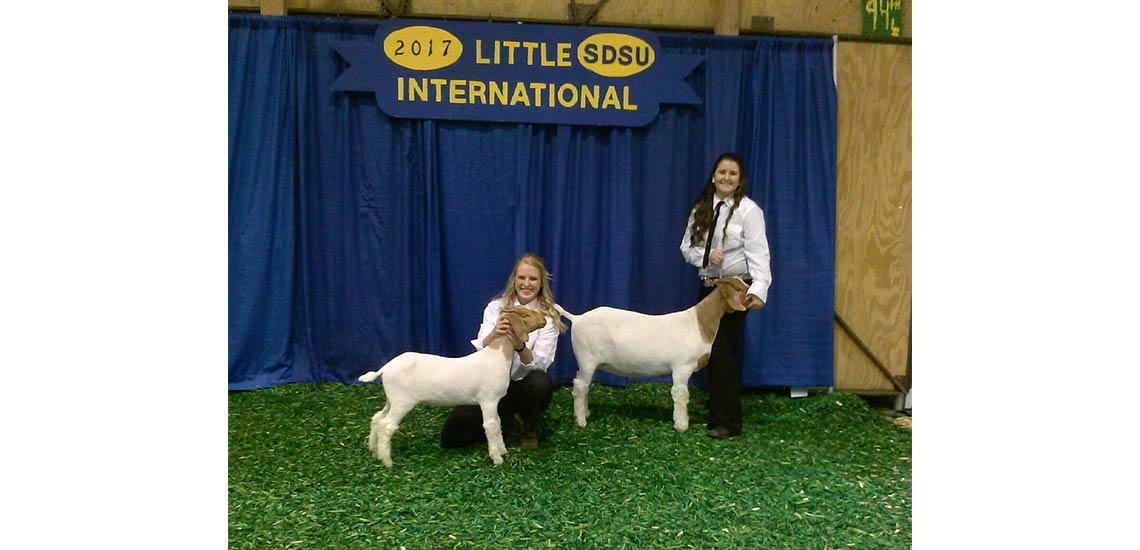 Christy and her roommate Krissy showing their goats in the 93rd Little International at SDSU.