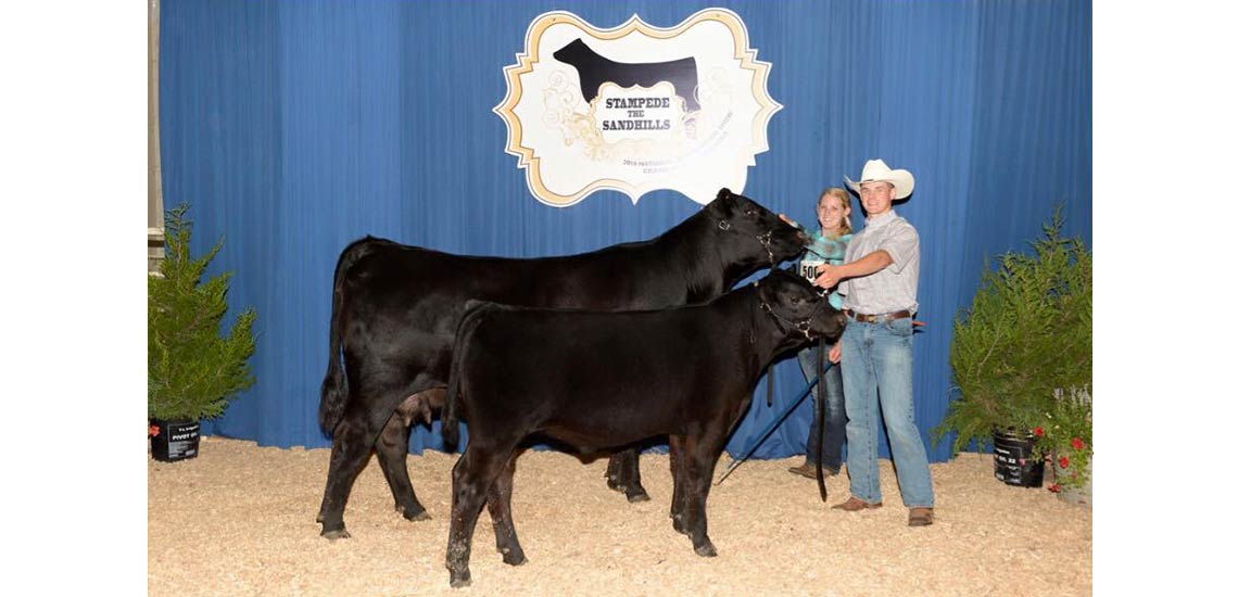 Christy and Chase with their Bred and Owned Cow and Calf pair at NJAS. They placed third in the class with Mogck Nicky 1473 and her bull calf out of Musgrave Big Sky.