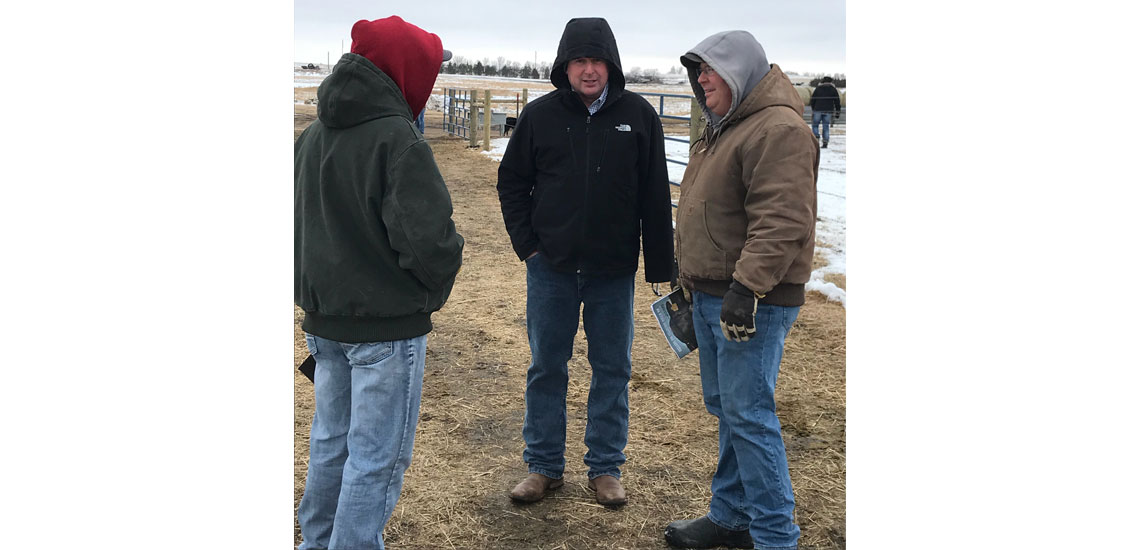 Photo from our 2018 bull sale.